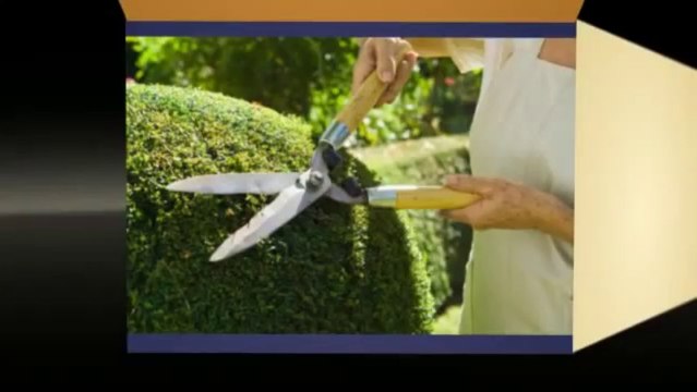 Triple R Landscaping (919) 599-5308