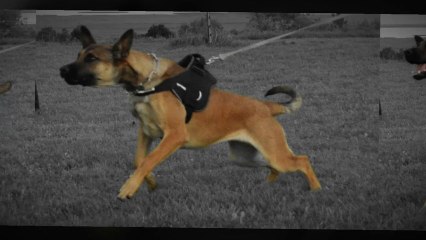 Be Aware Bloody Mary @ Trainingsimpressionen 2011