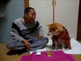 Chien anti-alcool