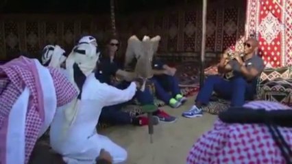 Zlatan Ibrahimovic s'initie à la chasse au faucon au Qatar