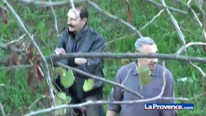 Incendie mortel à Marseille : Bachelot témoigne son émotion