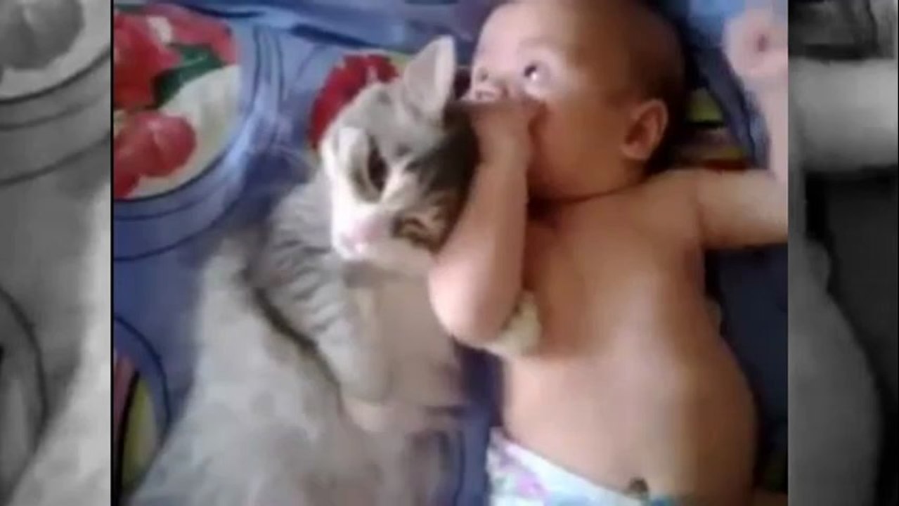 Baby und Katze