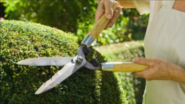 Gudehus & Crowley Landscaping (732) 539-0830