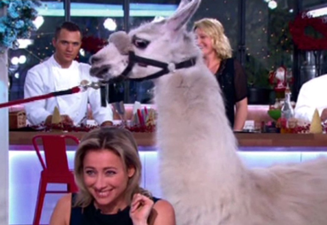 Quand Serge le lama drague Anne-Sophie Lapix - ZAPPING TÉLÉ DU 02/01/2014