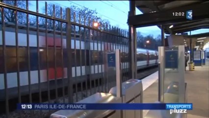 Journal de France3 - Le Front de gauche mobilisé contre la galère du RER B