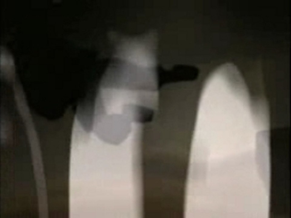 Sequence 01_transcoded