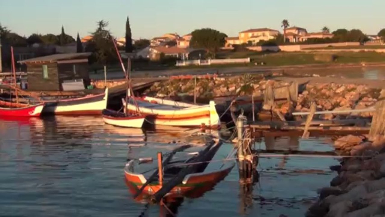 La théorie des baïnes