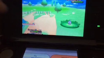 Finally a dragon type