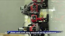 Gecko-inspired wall-crawling robot steps towards cosmos
