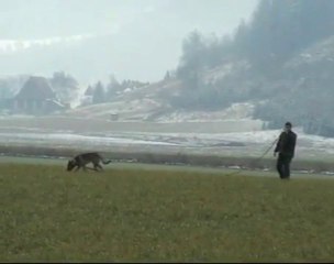 Be Aware Apollon @ IPO-1 Fährte