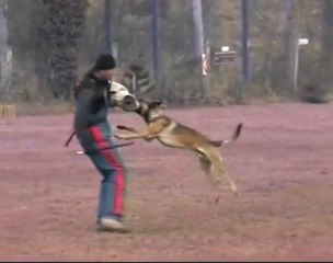 Be Aware Apollon @ IPO-1 Schutzdienst