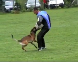 Be Aware Apollon @ IPO-3 Schutzdienst