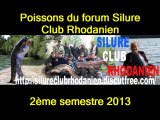 Silure Club Rhodanien : Les poissons du forum Silure Club Rhodanien 2ème semestre 2013