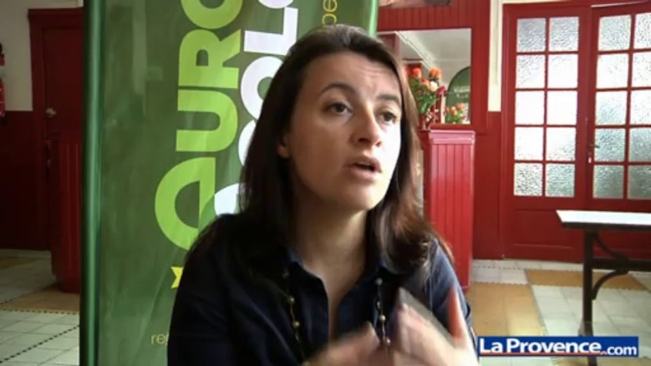 Cécile Duflot : "Le risque nucléaire est entouré de secrets et de mensonges"