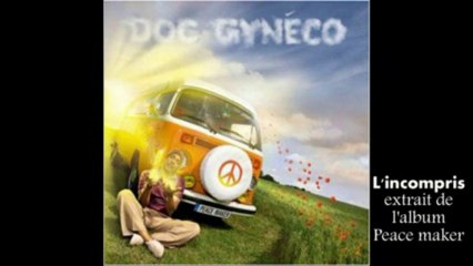 Doc Gyneco : "J'essaie de retrouver l'esprit du hip hop"