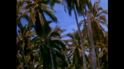 Les Aventures de Robinson Crusoe ( bunuel - bande annonce VO )