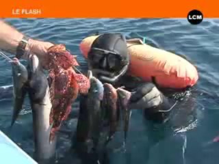 l'île du Planier accueille un championnat de chasse sous-marine