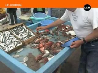 Reprise d'activité pour les petits pêcheurs