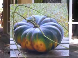 Rencontre avec les exposants des Flâneries d'art (1/10)