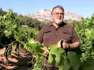 "Rosés" : 100 vins pour un été de fête