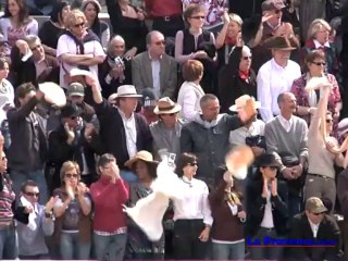 Les temps forts de la corrida à cheval de Rejon