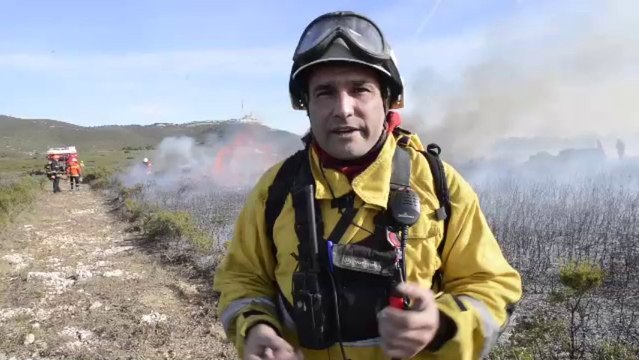 Marseille : des brûlages pour mieux combattre les feux de forêts