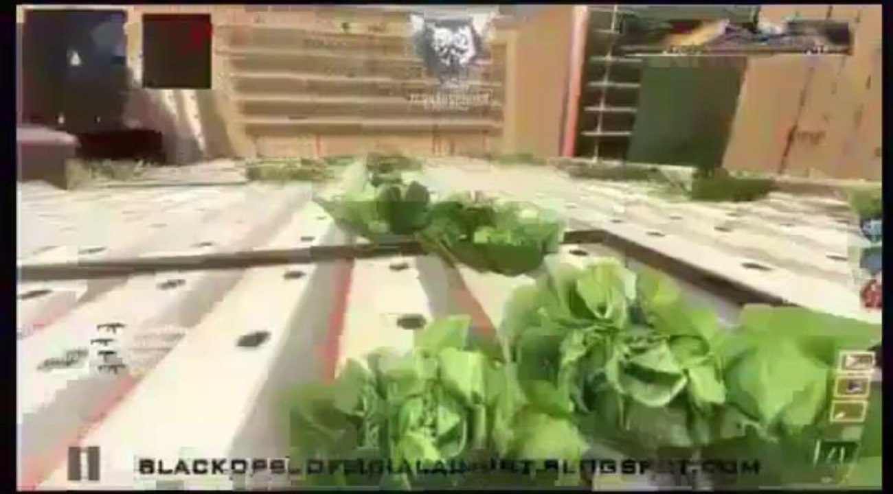 Call of Duty Black Ops 2 Prestige Hack - UPDATED - Xbox 360, PC, PS3