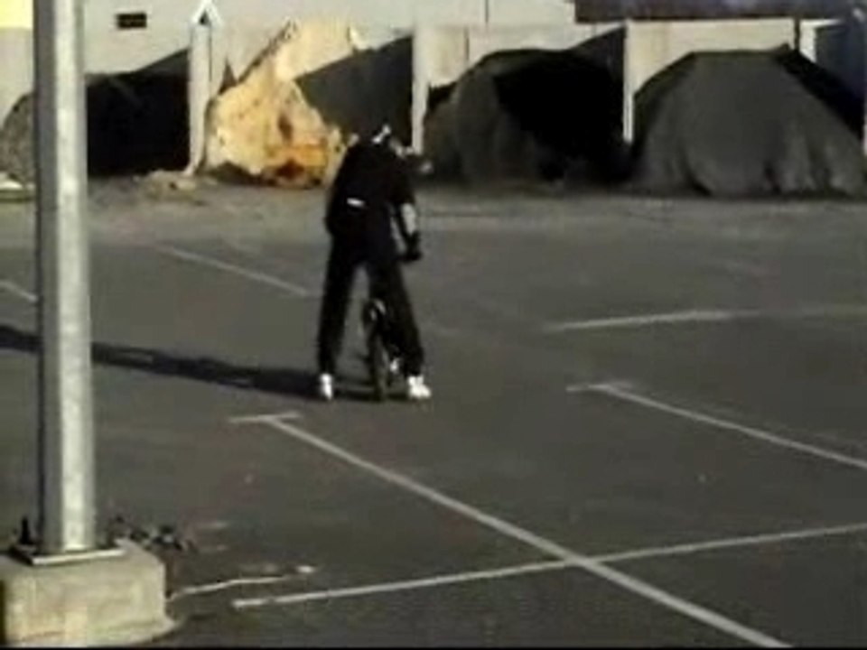 pocket bike folle