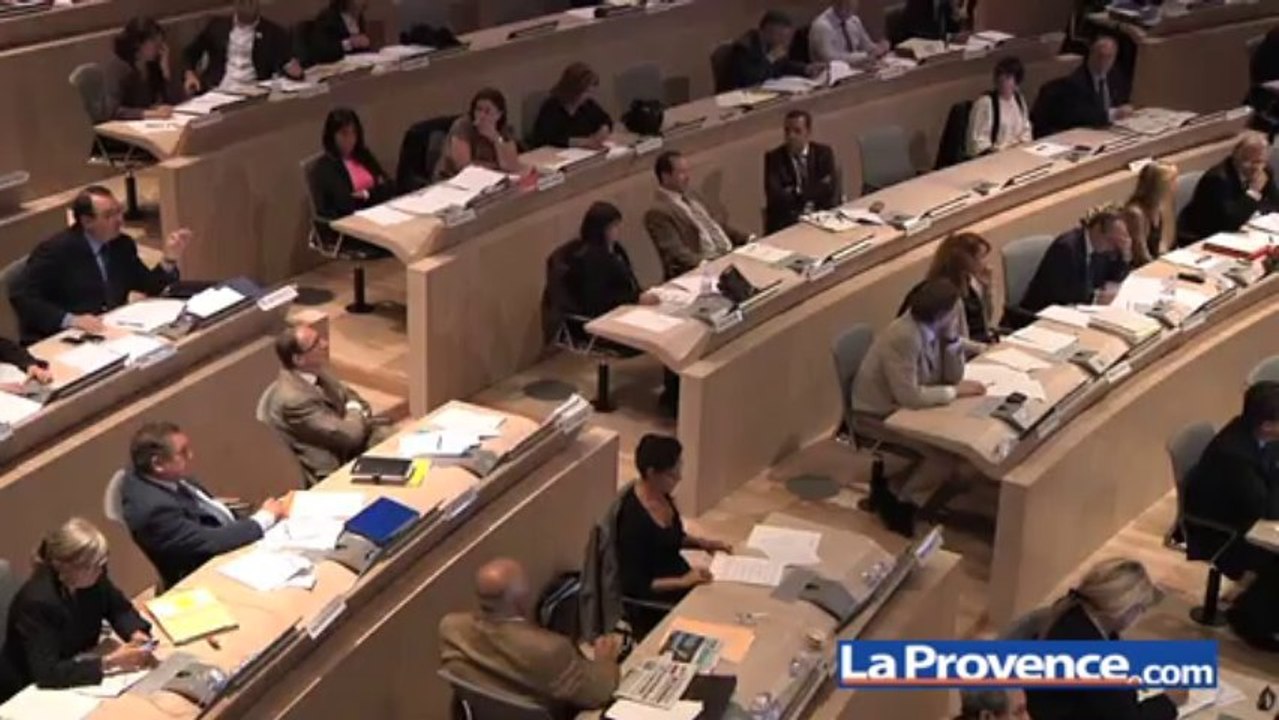 Conseil Municipal : le projet de rénovation du stade Vélodrome adopté