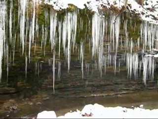 Liberty of Auld Lang Syne ~We Will Resist TSA / NSA Video Contest Infowars.com