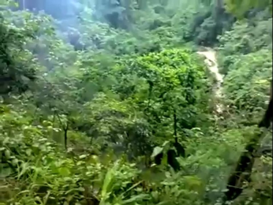 Death Road in Bolivia - Treacherous Mountain Pass In The Amazon