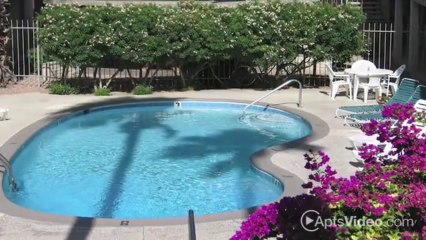 Sierra Pointe Apartments in Tucson, AZ - ForRent.com