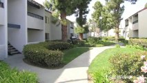 Park Pacific Apartments in Fountain Valley, CA - ForRent.com