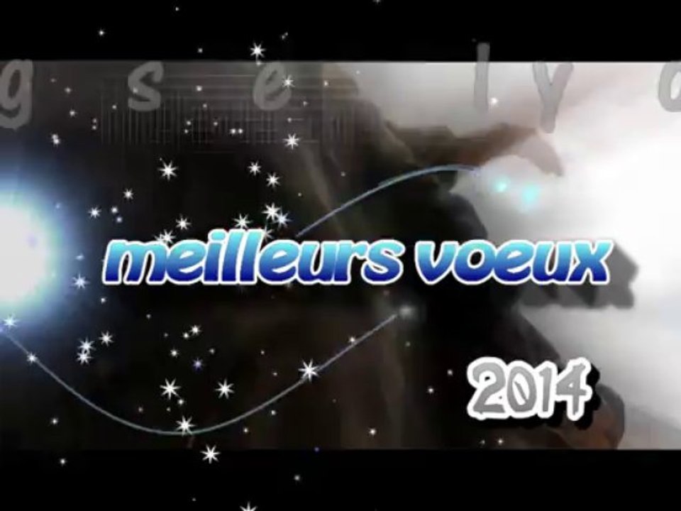 voeux 2014
