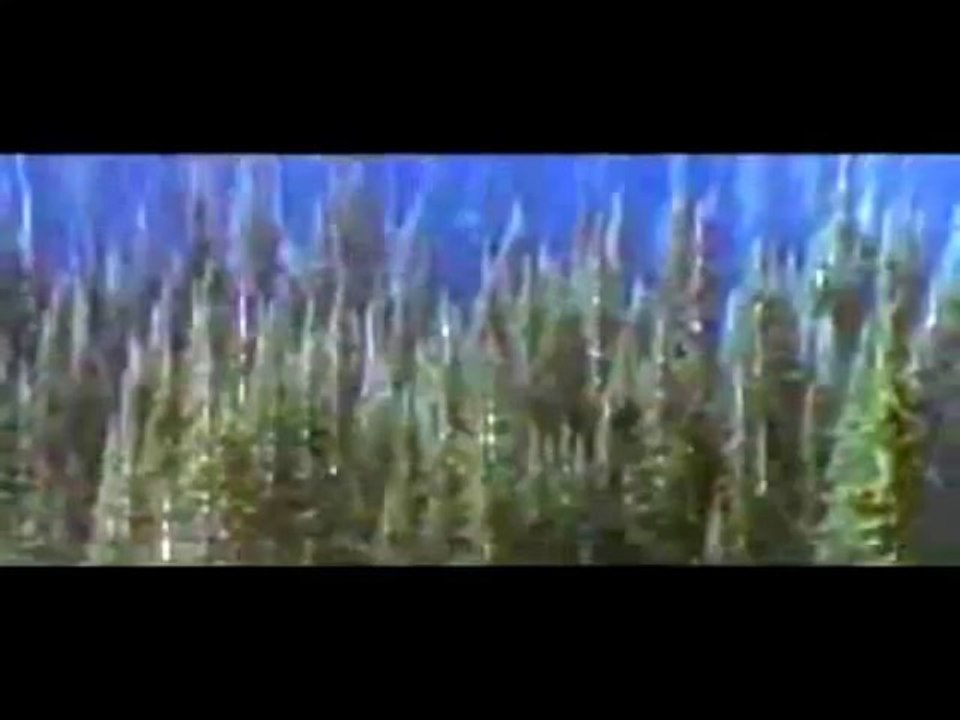 Copy of Steven Seagal On Deadly Ground 1994 Ending Speech_