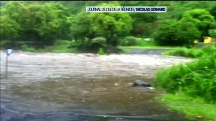 Cyclone à La Réunion : "Pas un arbre n'a tenu le coup", dit Frédéric