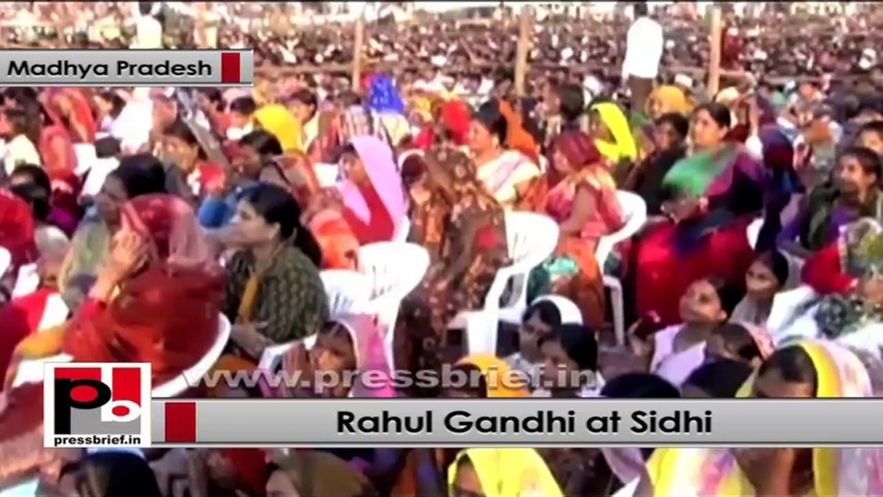 Rahul Gandhi: Congress believes in equality among masses