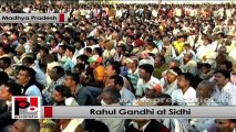 Rahul Gandhi: Congress has built more roads than BJP-led NDA