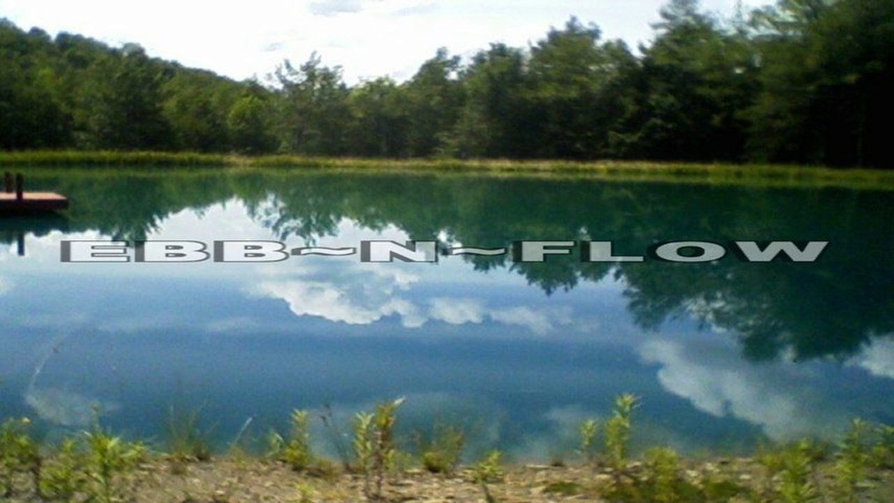 Ebb~n~Flow - The "Koi Pond"