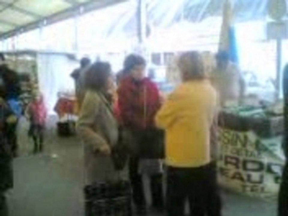 Tractage Boulingrin 48h UMP