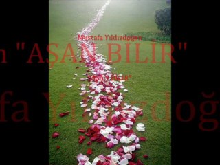 MUSTAFA YILDIZDOĞAN-AŞAN BİLİR
