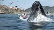 Baleine géante VS filles en kayak... La folie!