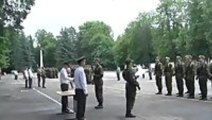 Falling Tree Interrupts Ceremony