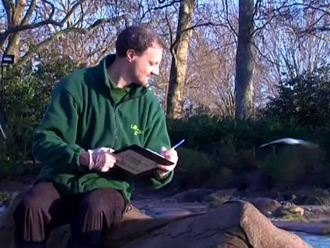 Зоопарк Лондона посчитал своих обитателей