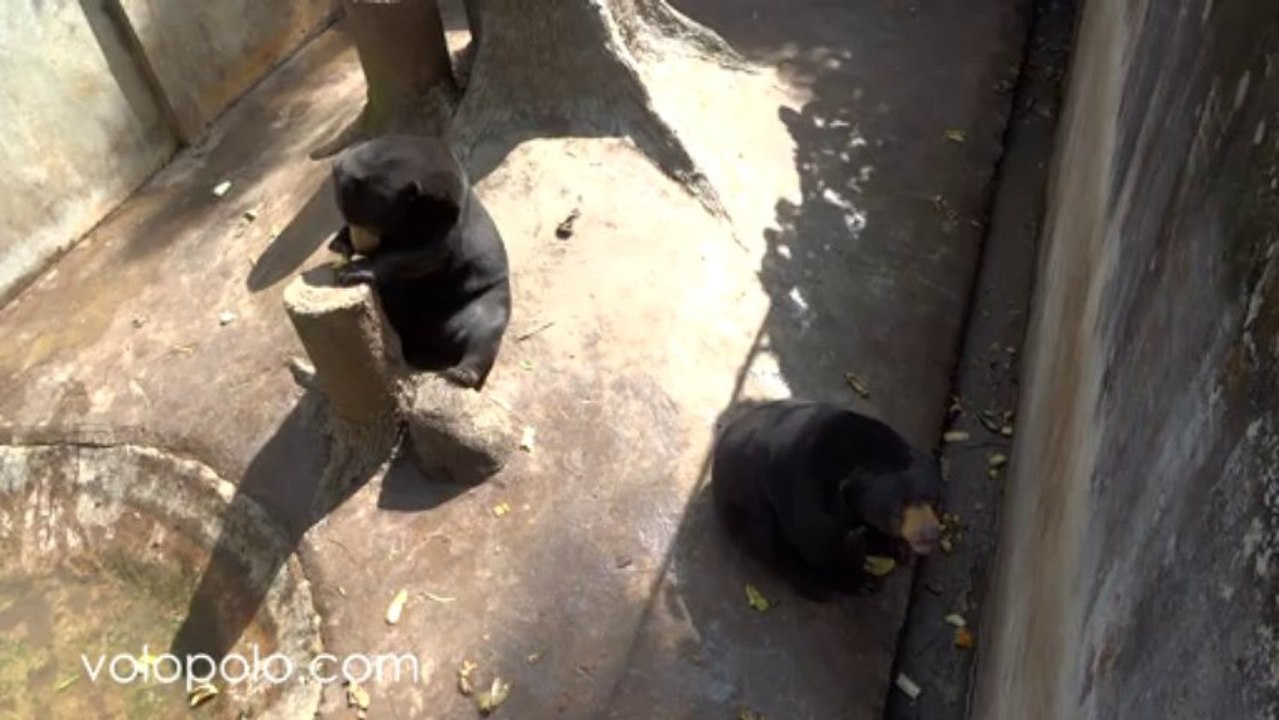 Phu Khieo Wildlife Sanctuary in Chaiyaphum Northeast Thailand Isaan