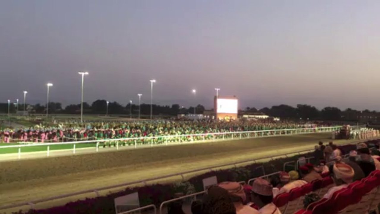 Show 4