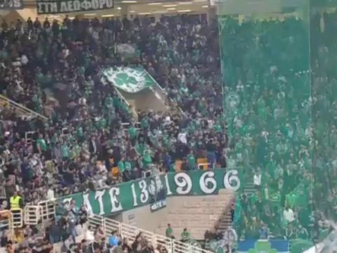 Συνθήματα κόσμου Παναθηναϊκού