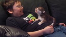 Un chiot apprend à hurler