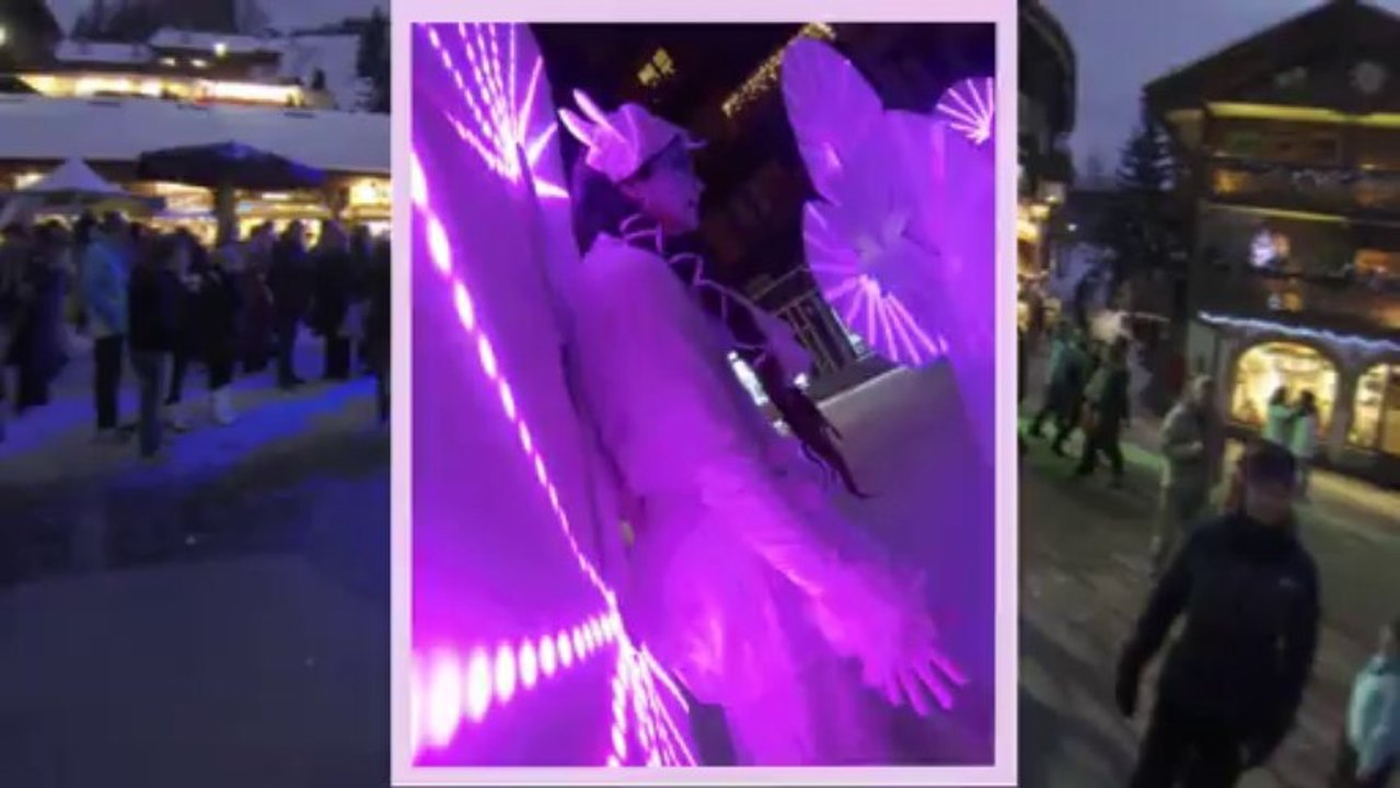 Les Nymphéas - décembre 2013