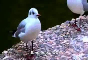 Dheeraj Rakh Wo Reham Kary Ga (Anil Kant)